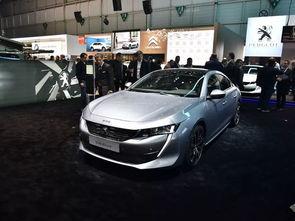 国产标致生产视频,匠心独运，品质卓越