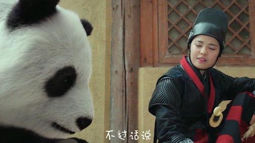 最新国产熊猫视频网站,打造国内原创内容新阵地