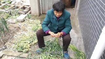 强干老妇视频国产,强干老妇视频展现民族品牌魅力