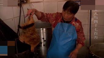 强干老妇视频国产,强干老妇视频展现民族品牌魅力