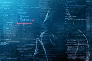 国产黑客完整视频在线,完整视频解析网络攻防奥秘